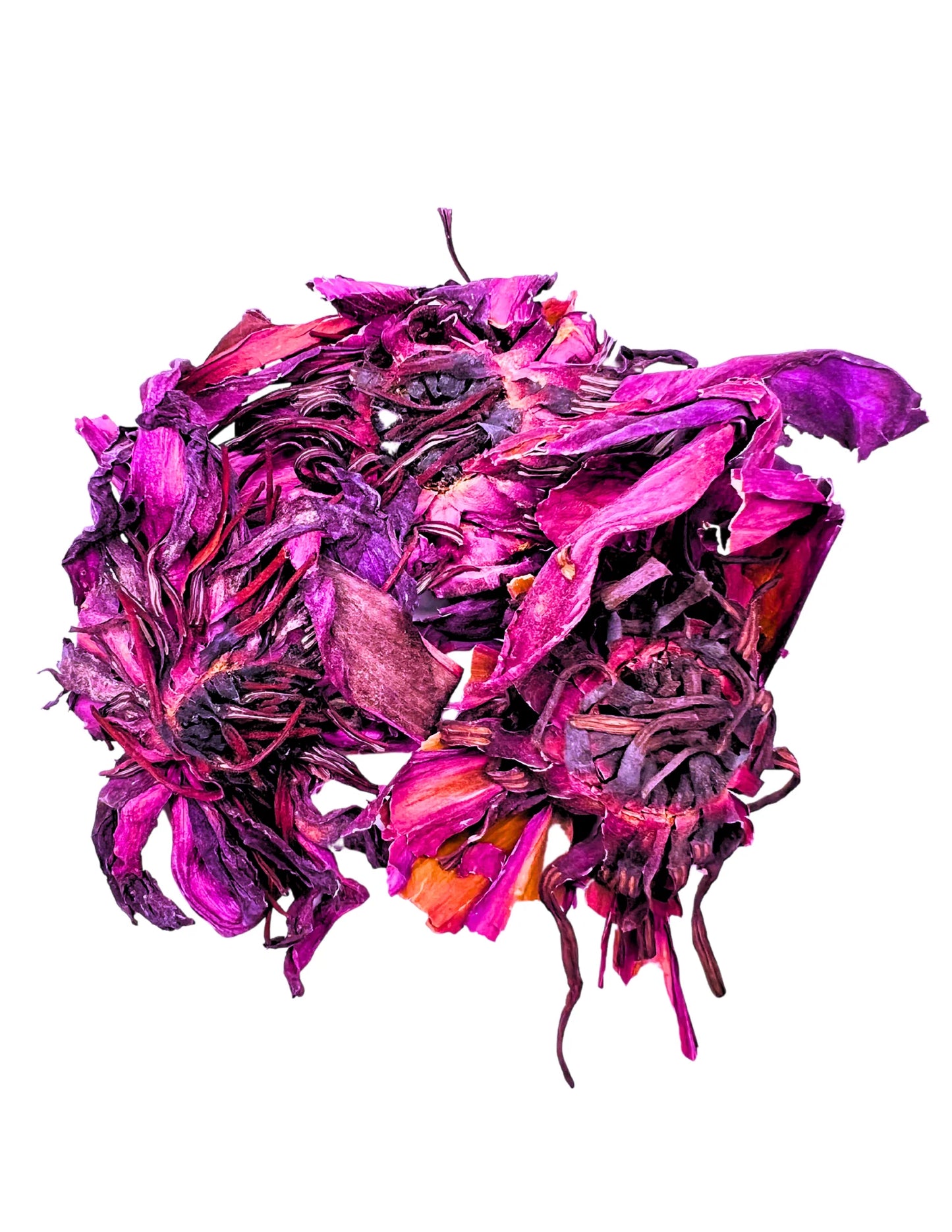 Red Lotus