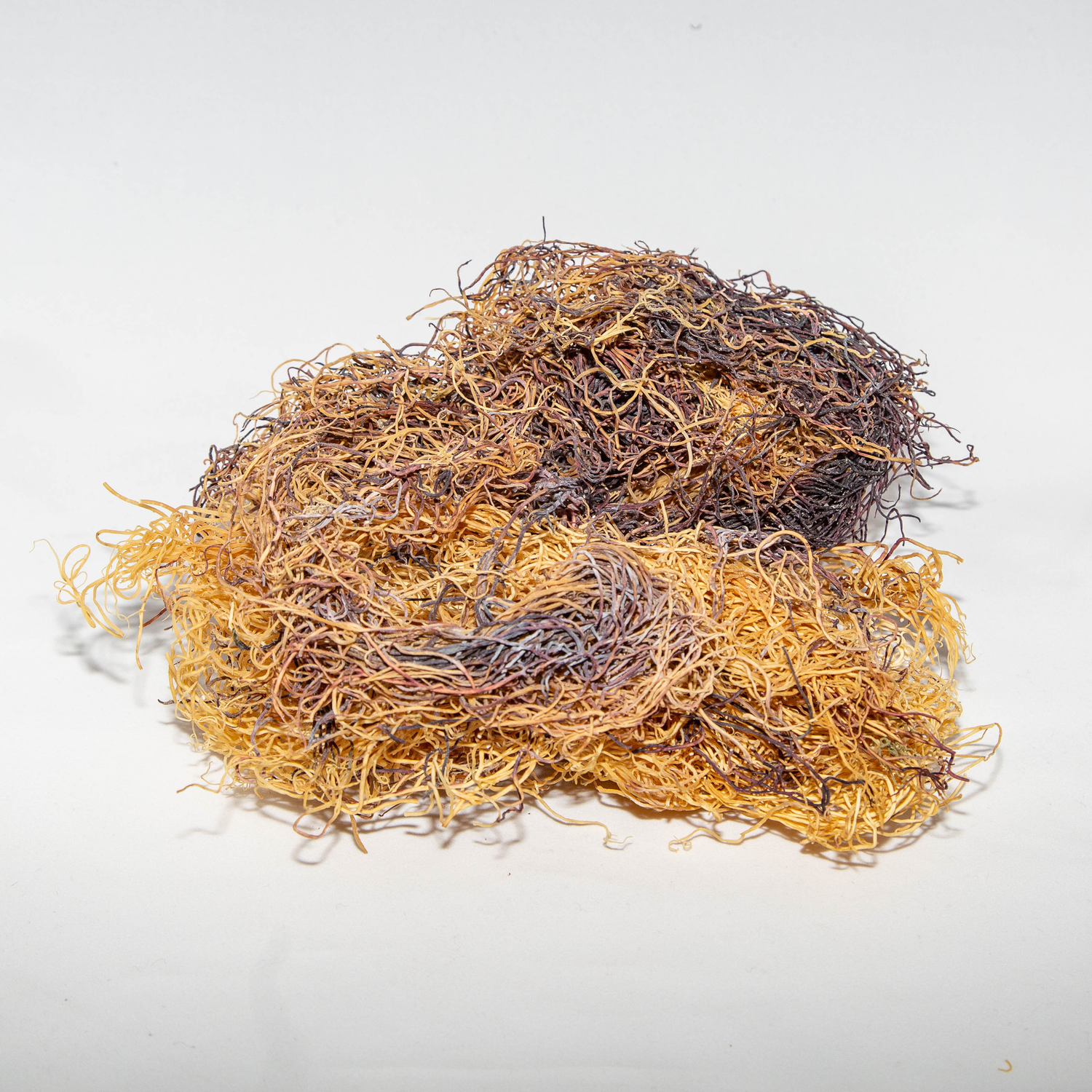 Raw Sea Moss