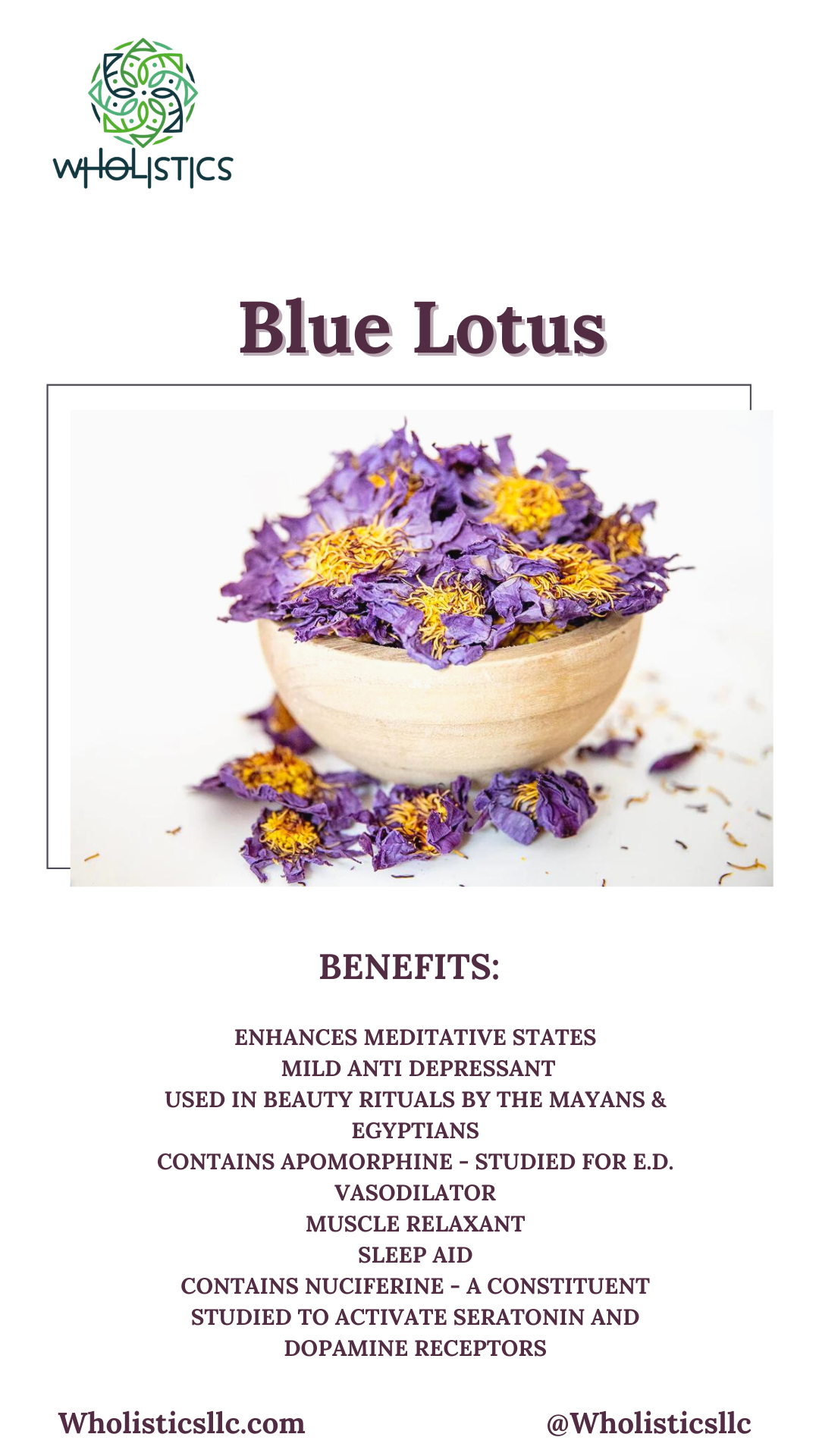 Blue Lotus Flower