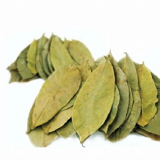 Soursop Leaves