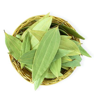 Cinnamon Leaves