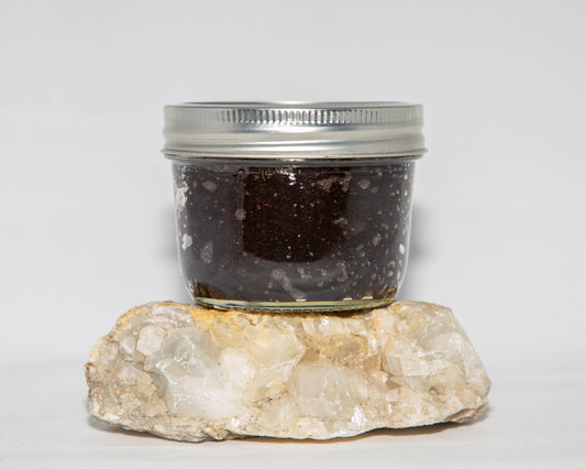 Coffee Scrub 8oz