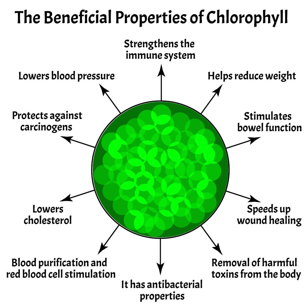 Chlorophyl